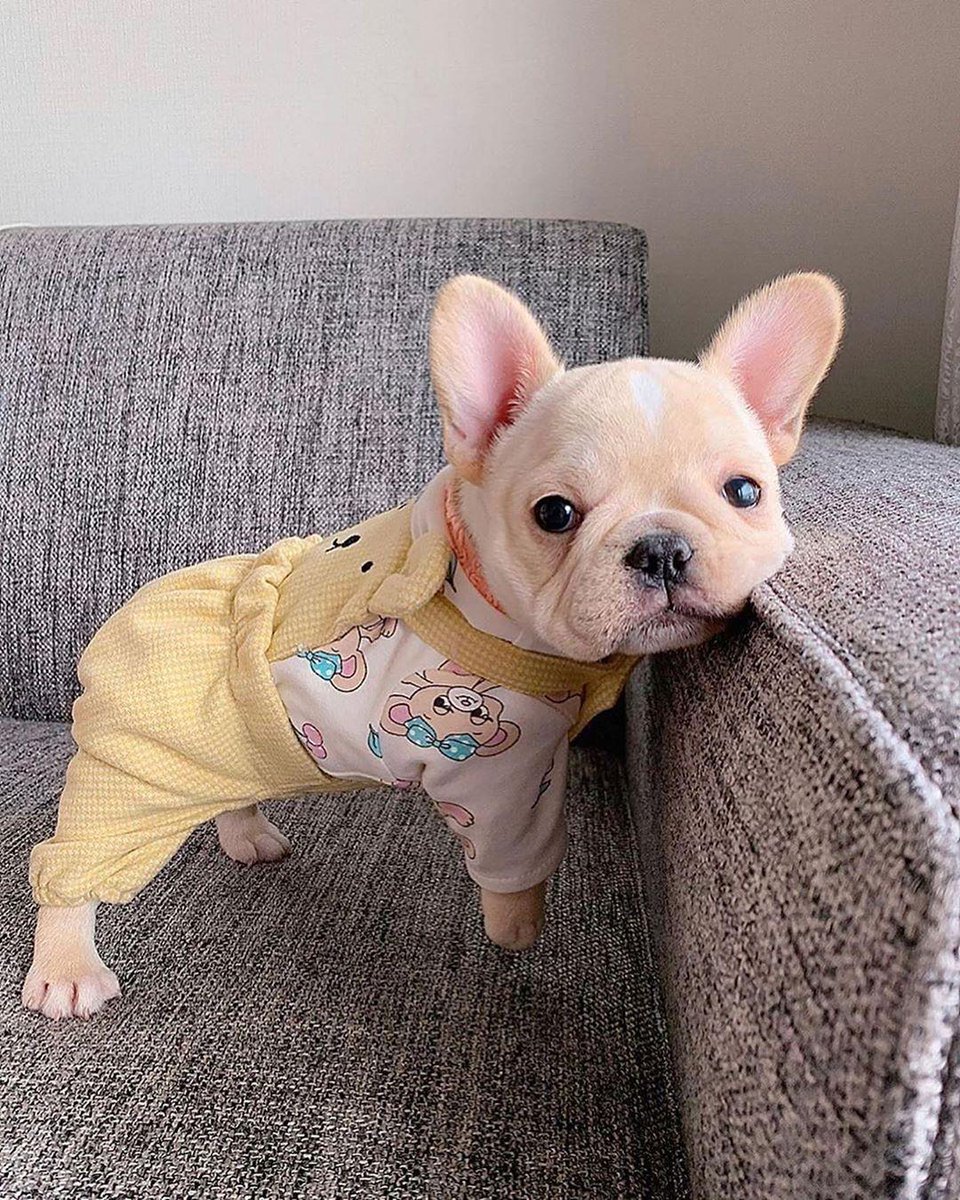 Trevor Donovan tweet media