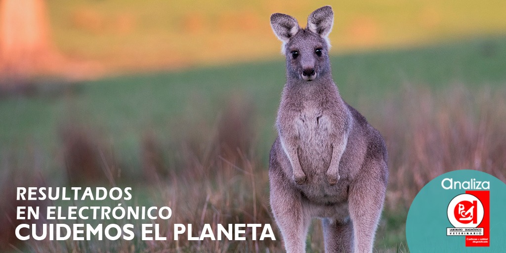 #Contribuimos a un mejor #planeta 

Solicita tus resultados en #electrónico 

Conoce más en: bit.ly/2ZVTUqA