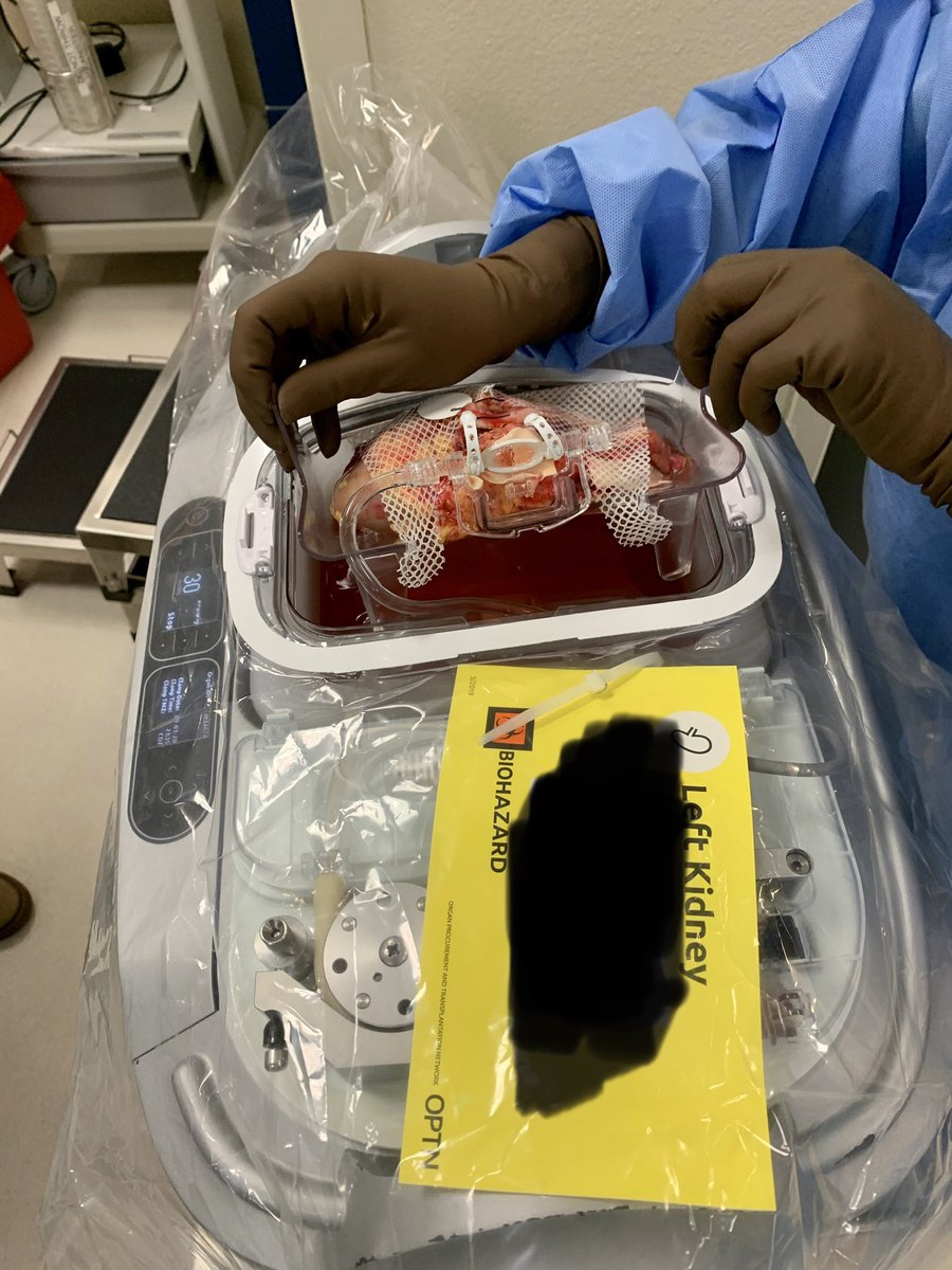 Colton Wayne, MD tweet media