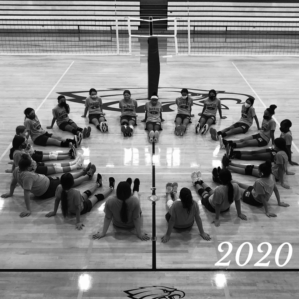 🏐💚🦅💛🏐