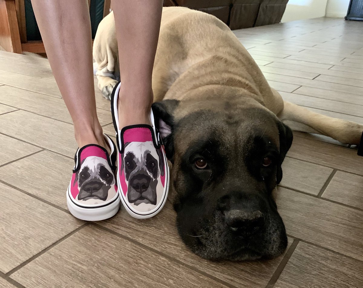 Vanessa K tweet media