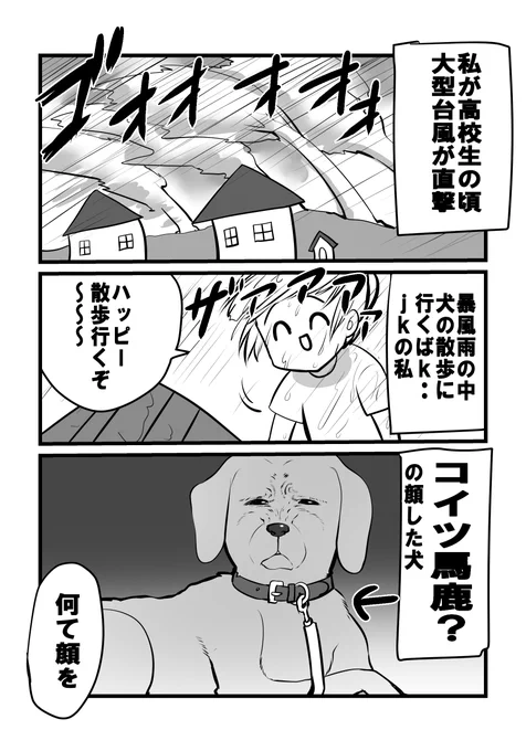 台風のお話① 