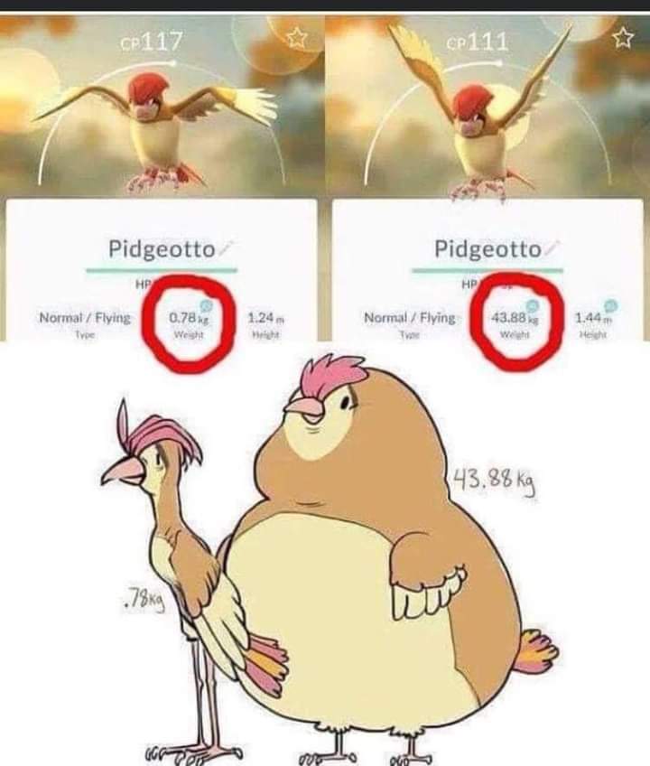 pokecoord's tweet photo. 🚨 Lsta de nidos ya actualizada! 🚨
Aquí 👉 https://t.co/V9VlwZOsWJ
#pokemon #pokemongo #pokecoord #PokemonSwordShield #vmos #ispoofer #pgshrp #fglpro https://t.co/e5FAxqJjna