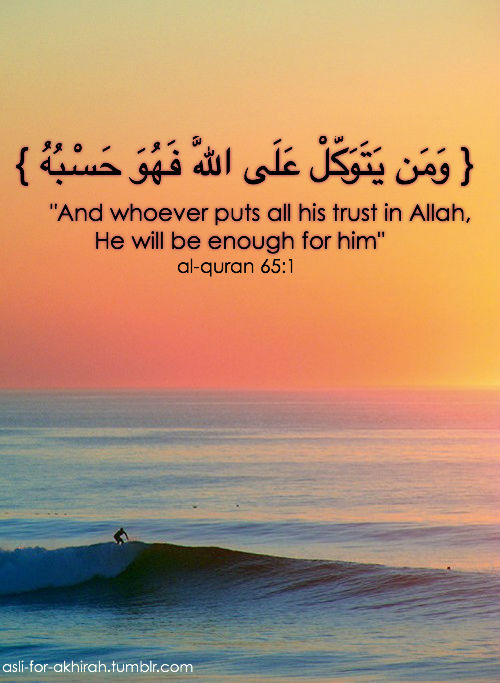 hamza_aadeez's tweet photo. ❤❤ https://t.co/iyl1hVeqnT