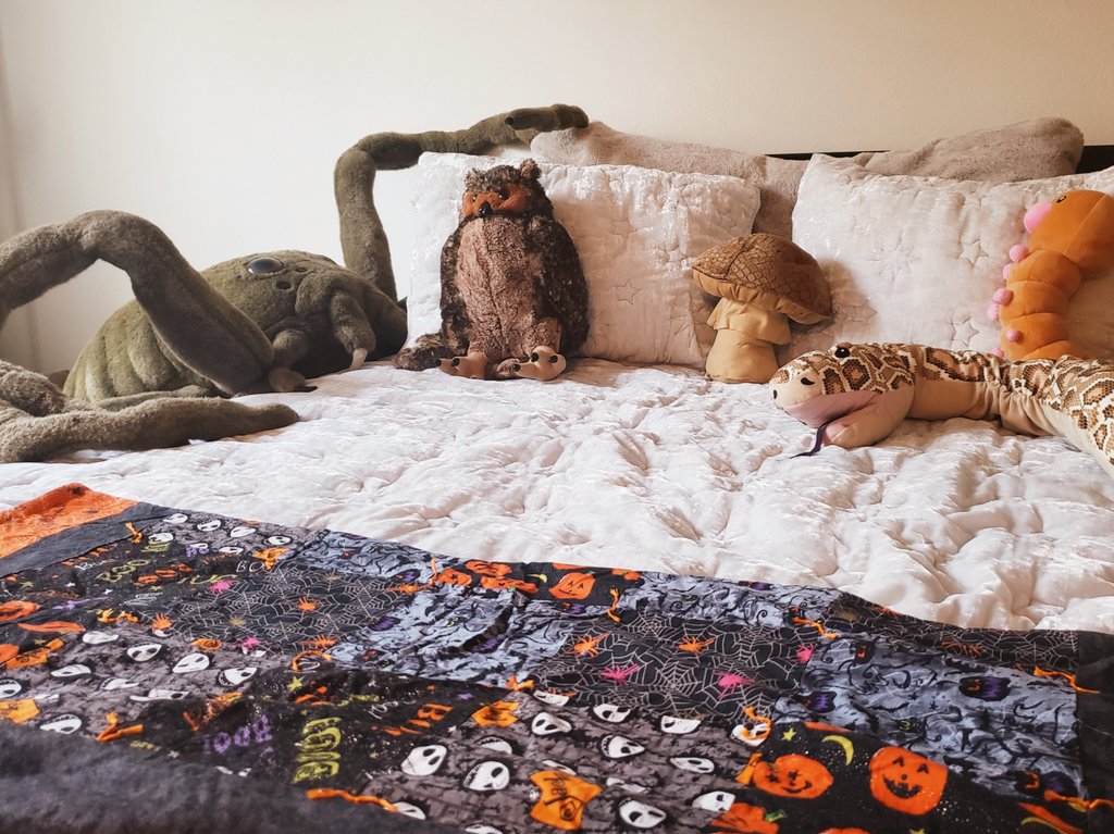JennyENicholson's tweet photo. ~follow for more cozy autumn aesthetics~☆~ https://t.co/20r5QKESk8