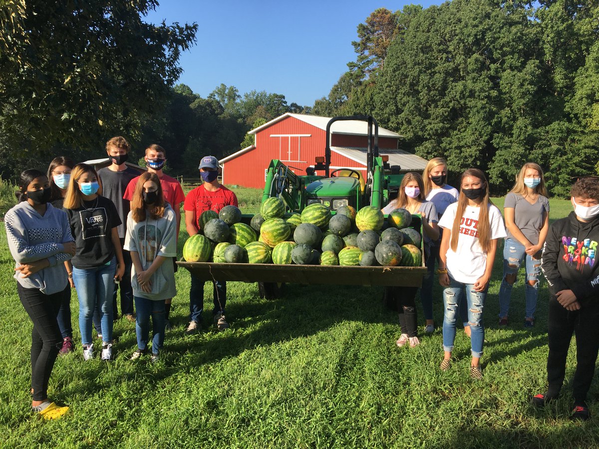 DavidMOvercash's tweet photo. @southrowanFFA picking watermelons for our service learning project and ready to deliver to Main Street Mission, just in time for Labor Day.  #LivingToServe https://t.co/CoUki7exA9