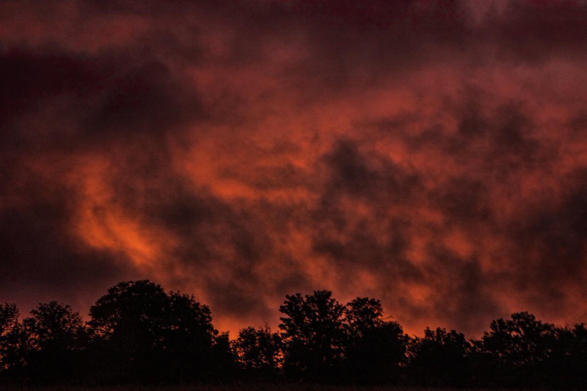 Ronnie Prcin tweet media