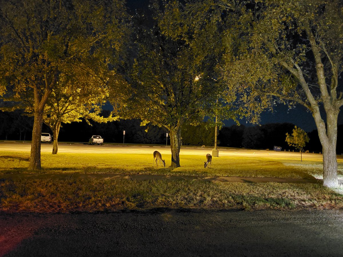 Syed Fahad Bin Haque (@syedfahadbin) on Twitter photo  Syed Fahad Bin Haque (@syedfahadbin) on Twitter photo