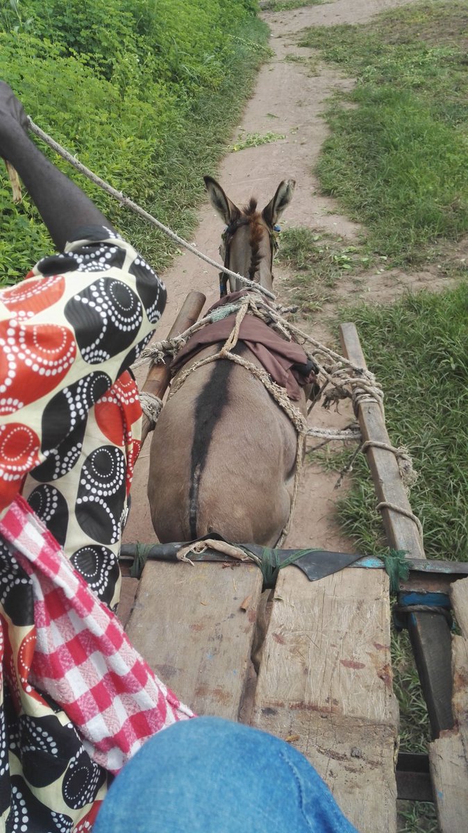 modoub20's tweet image. Mode of transportation