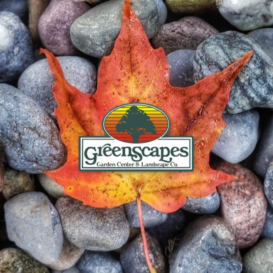 GreenScapes tweet media