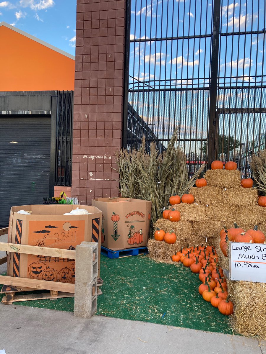 Nicholas Yarbrough tweet media