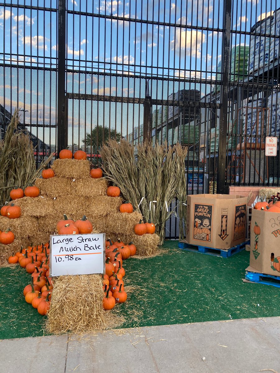 Nicholas Yarbrough tweet media