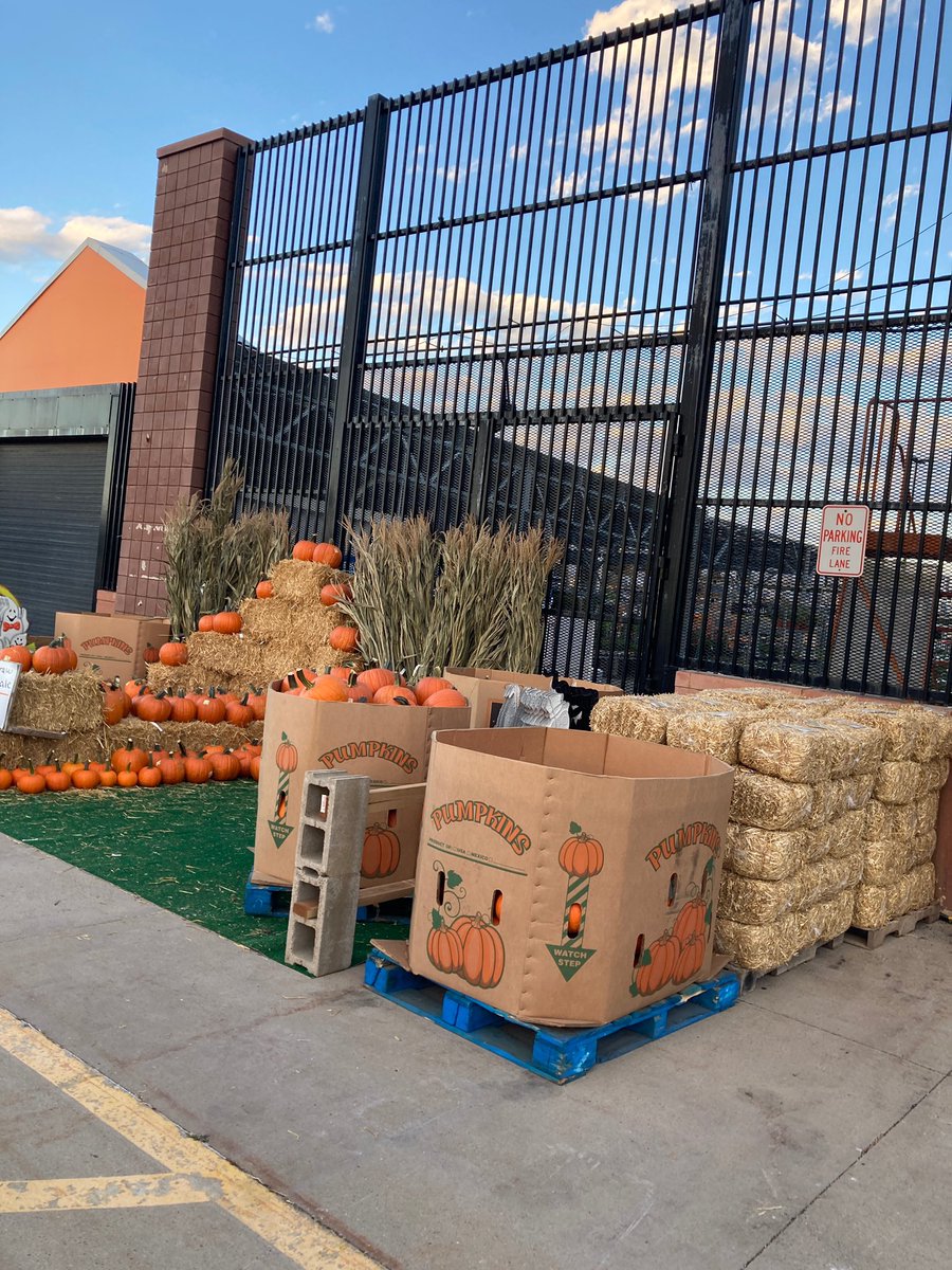 Nicholas Yarbrough tweet media