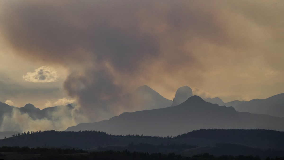 Kym 🌙 tweet media