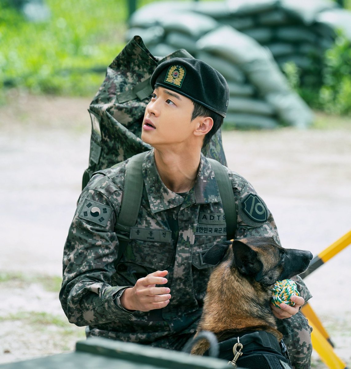 happydongyoon7's tweet photo. #좋은사람 #좋은배우
#장동윤 #Jangdongyoon
#จางดงยุน #张东润
#チャンドンユン
#장동윤응원해
#써치
#ocndrama
#ocndramaticcinema
#써치완전대박응원해
@No1_OCN
@OCN_ORIGINAL
#밀리터리수사극
#토일드라마
용동진병장과 맥의 환상 케미
기대 만발 입니다🙆♀️👍
꿀케미🐝💖정말 많이 사랑스럽다😊 https://t.co/Tpf3mO2dat