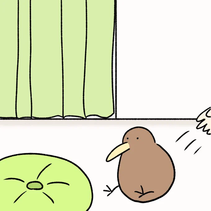 続々と家にしまわれるキーウィ 