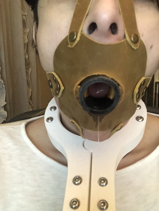 Yay. I&rsquo;m free. Kind of... I mean, I&rsquo;m not longer bound and gagged. https://t.co/YwbKm3mnN9<a href="/tag/mvsales"class="tags"><span>#mvsales</span></a><a href="/tag/mvtrans"class="tags"><span>#mvtrans</span></a>