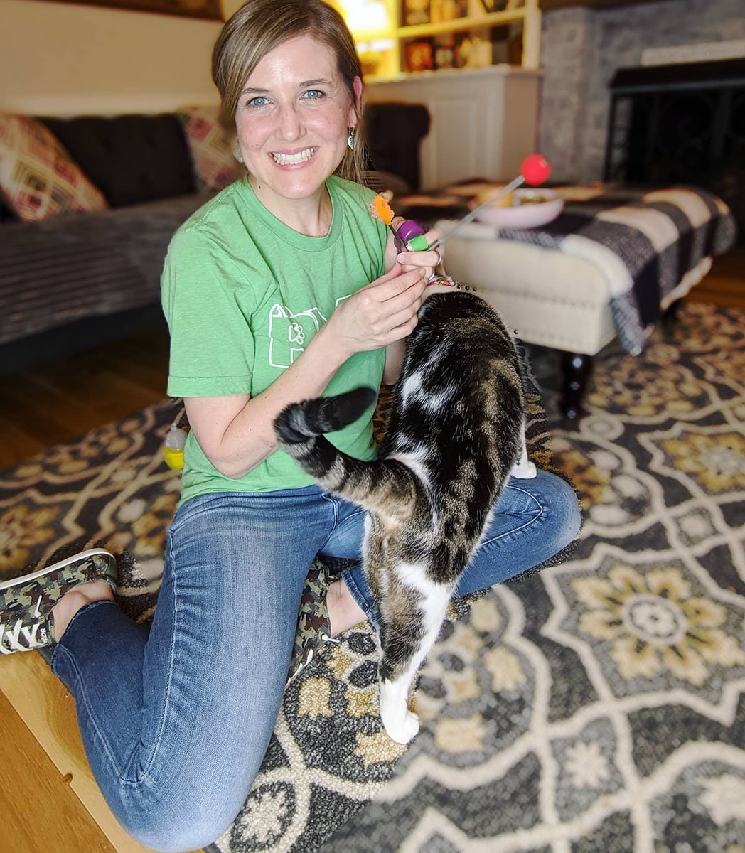 PawsitiveLady's tweet image. Had my first virtual feline behavior consultation via zoom last night. Part of the behavior modification plan for the family I&apos;m working with involves clicker training so I asked the expert Maestro to help demonstrate the basics.😻
#benefitsofzoom #CatsCanBeTrained #catbehavior