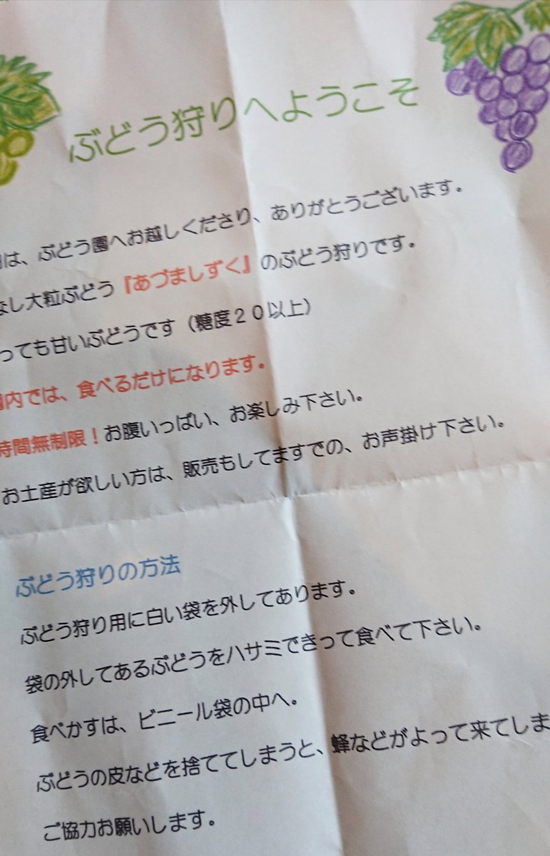 ゆべし界隈308号 V Twitter まだ狩ってない 来週狩る ぶどうのイラストかわいい ゆべし界隈308号 V Twitter まだ狩ってない 来週狩る ぶどうのイラストかわいい