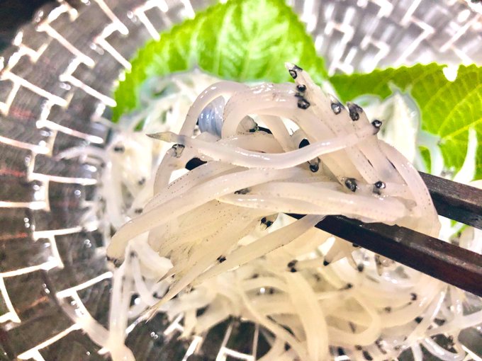 白魚とは 素魚 しらすとの違いは 旬 産地など特徴や食べ方のおすすめも紹介 ちそう