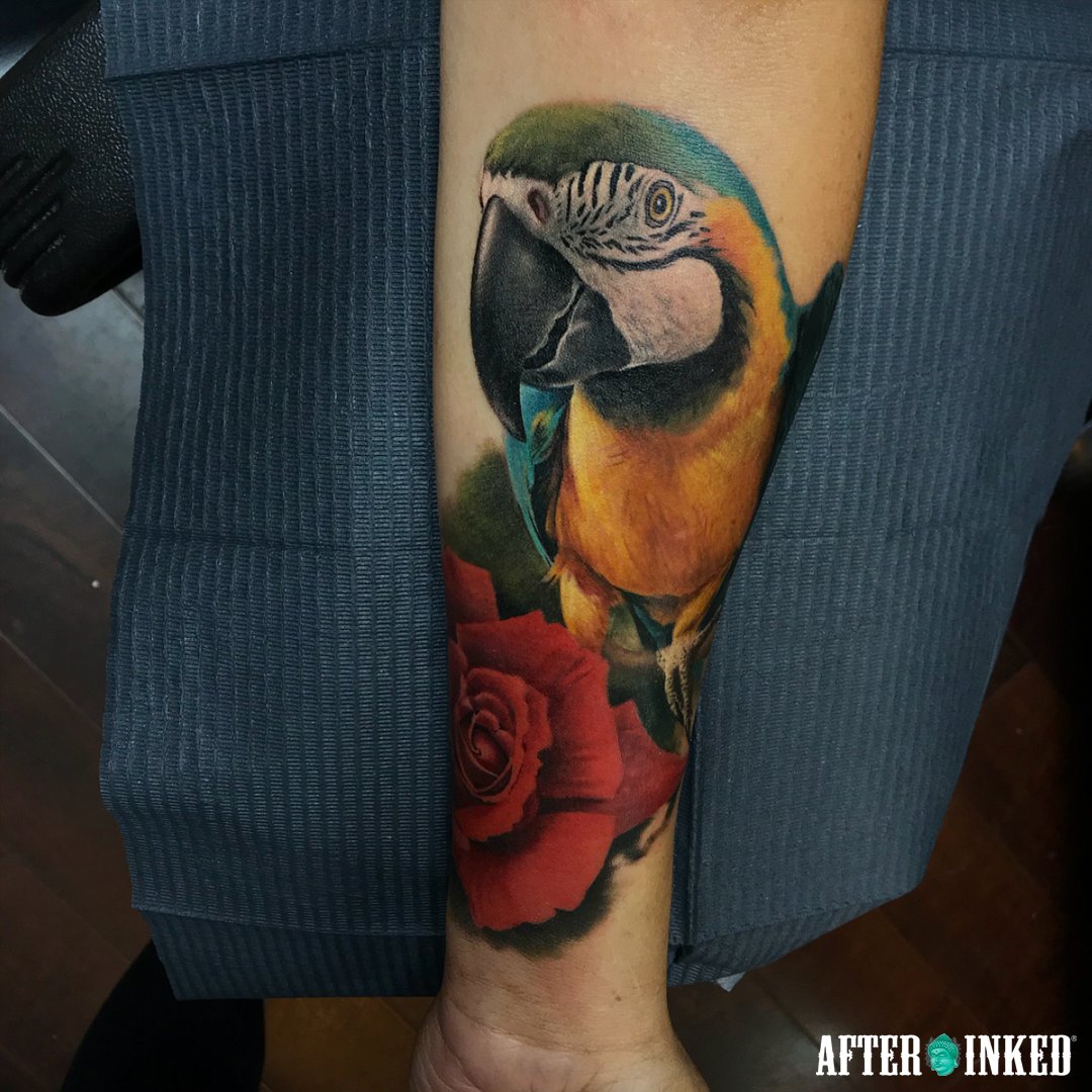 AfterInked's tweet photo. #NationalWildlifeDay #WildlifeDay #Wildlife #SafeTheAnimals #SafeTheWorld #afterinked #proudusers #formulatedforperfection #afterinkedeveryday #tattooaftercare #vegan #exclusive_animals #wildlife_perfection #wildlifeonearth #andycubides #sarahmillertattoo #tatautattoostudio https://t.co/eK72gnMQL6