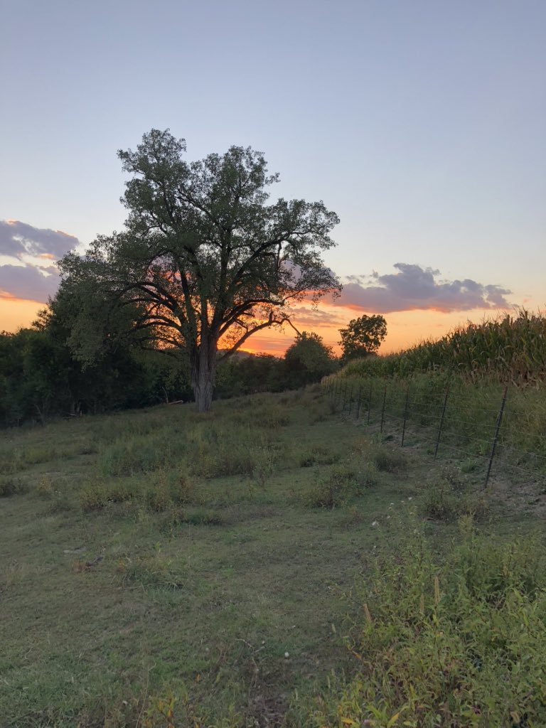 coachkleiner's tweet photo. 3 positives: getting to run with a former stang at practice, getting to see a former stang race her 4K for her college team and a former stang snapchatting me about her first XC meet tomorrow #welu #till #leicht #luckycoach https://t.co/vqg4ddvPn7