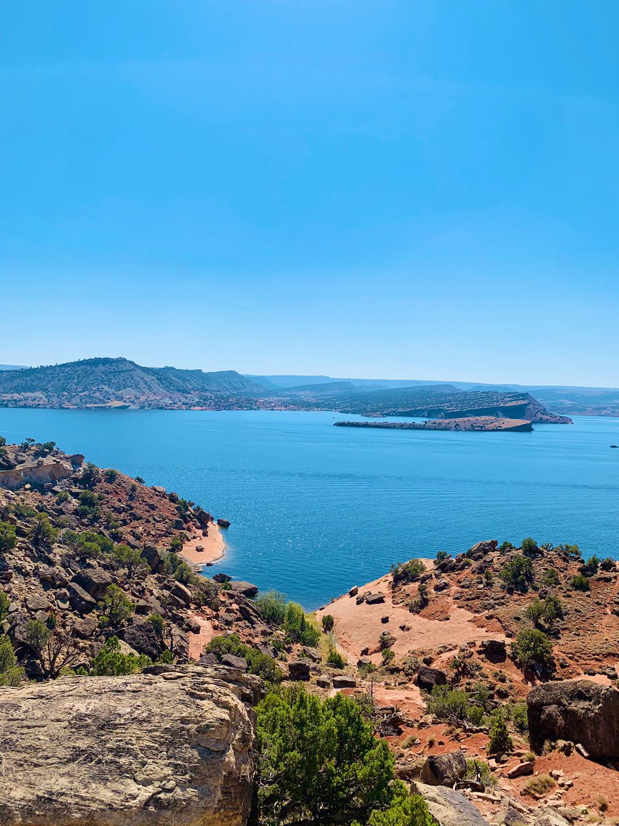 Jordan Smith Konze tweet media