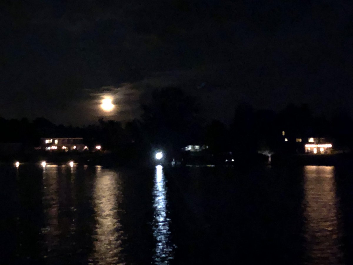 Concert by boat 💙