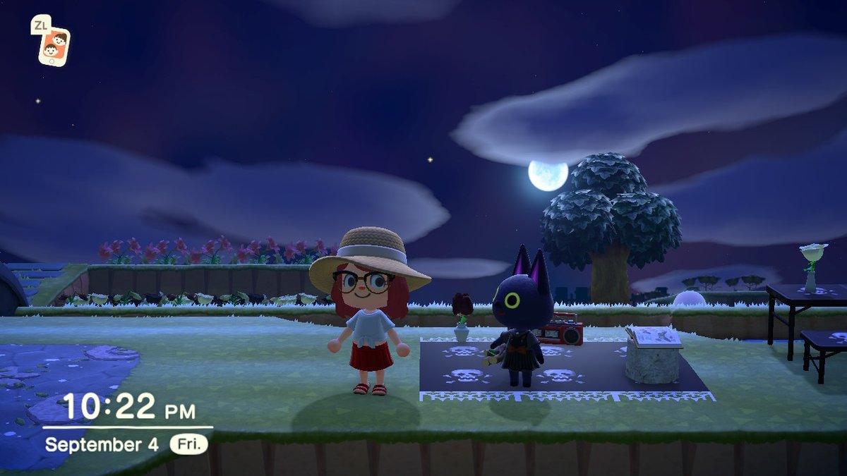 skullzrockk's tweet photo. #AnimalCrossing #ACNH #NintendoSwitch https://t.co/3td60OelEm