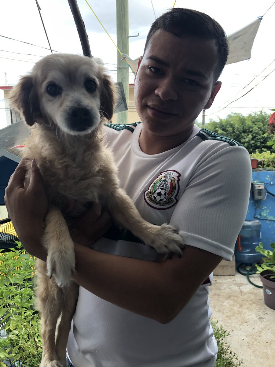 CT_JORDISA95's tweet photo. Por siempre serás mi amigo fiel, mi hermano y mi confidente. Llegaste hace 14 años a mi vida y te fuiste como el más grande de mis amores. Te amaré por siempre Ruffo ❤️❤️ https://t.co/fGnB23SjKN