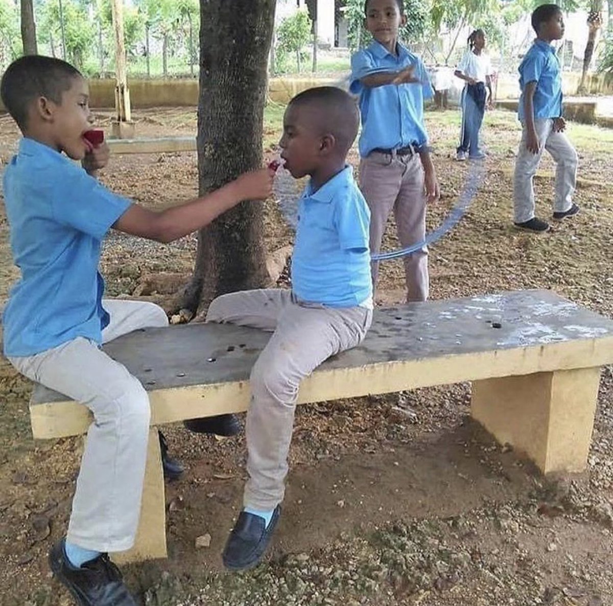 😍😍😍😍😍😍😍😍 Los padres de ambos niños merecen un 100😍