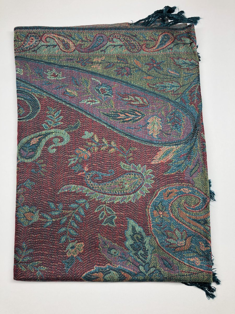 ThePashminaPlug tweet media