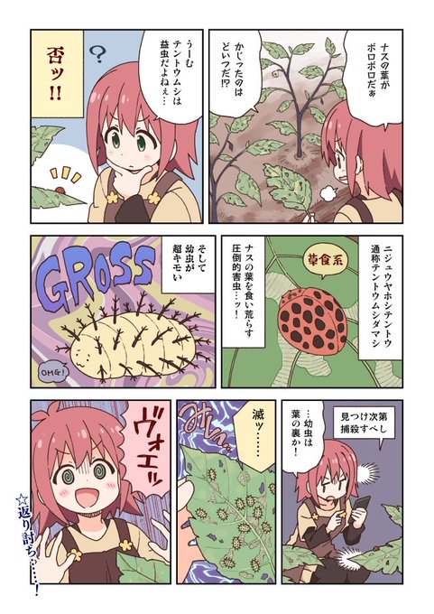 家庭菜園に出没する虫図鑑です。虫注意! 