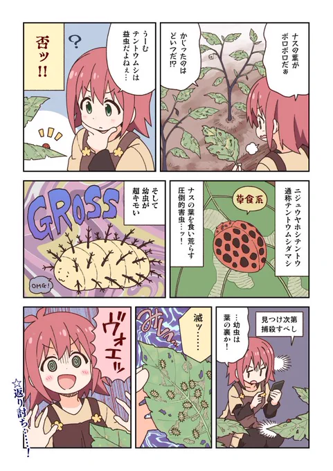 家庭菜園に出没する虫図鑑です。虫注意! 