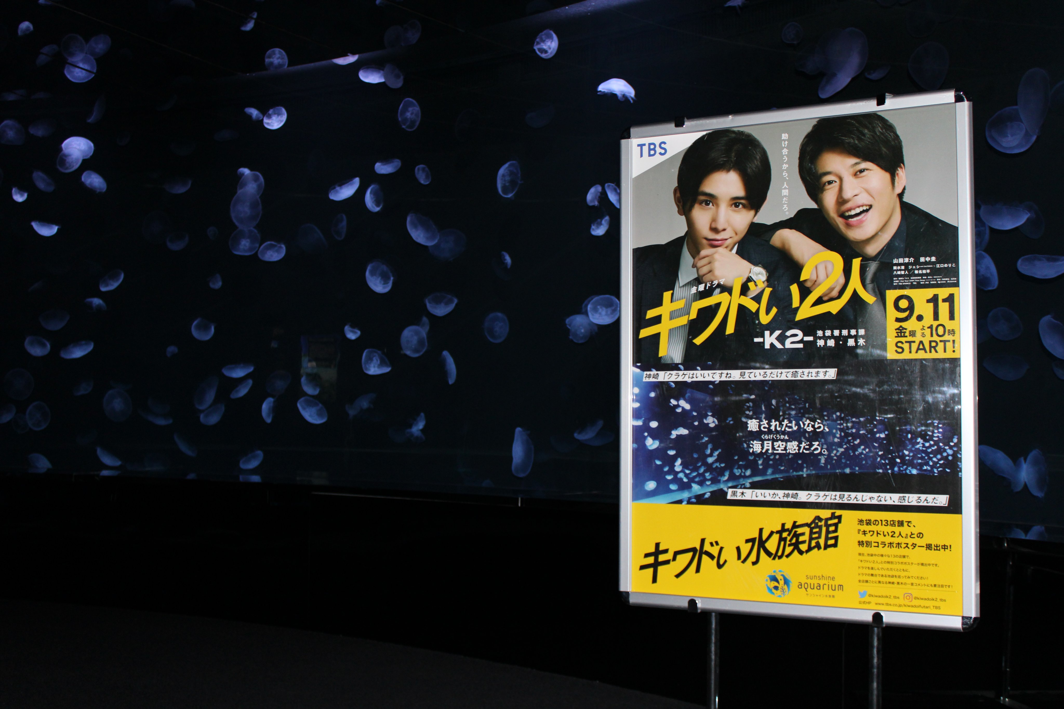 サンシャイン水族館 on X: 