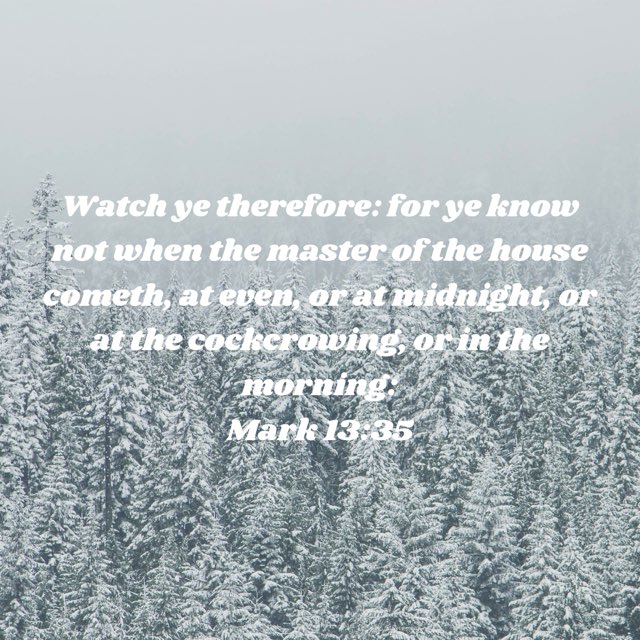 abaileyapb's tweet image. 