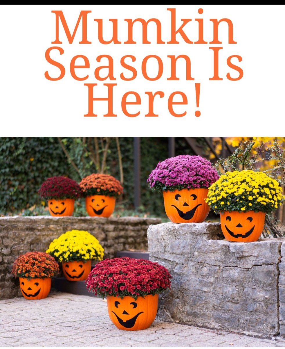 Riverside PTO (@resptodcsd) on Twitter photo 