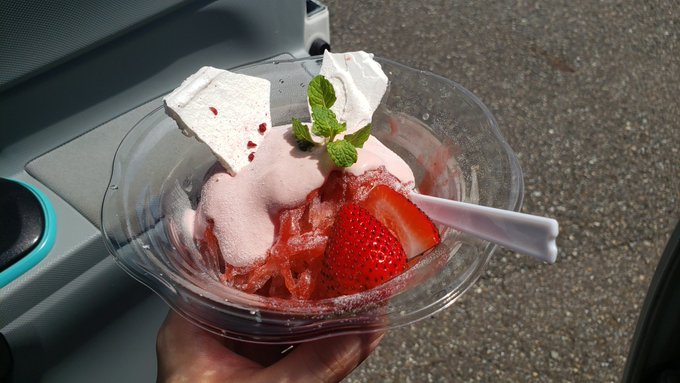 行きつけのケーキやさんでかき氷始めたとか言われたら食べざるを得ない(安定のイチゴ 
