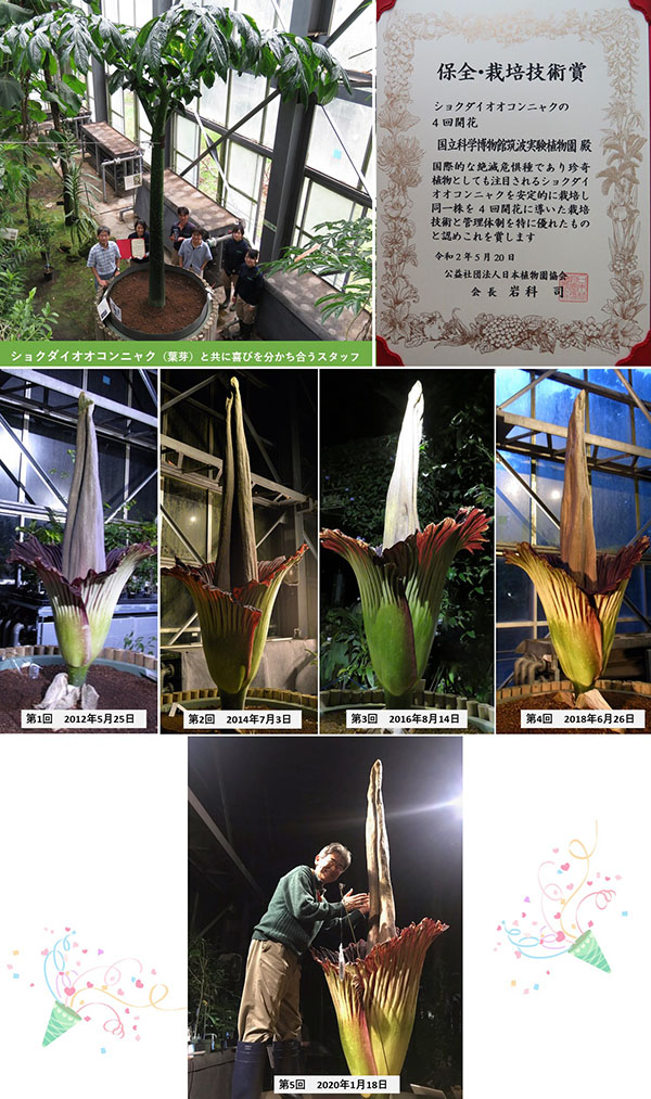筑波実験植物園 つくば植物園 はどんな所 ランチはお弁当持参でピクニックも 茨城観光 グルメ情報ブログ イバトリ