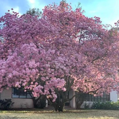 reyarupo's tweet photo. #ReyArupo2020 #NuevaFotoDePerfil https://t.co/VaJCRl3m5U