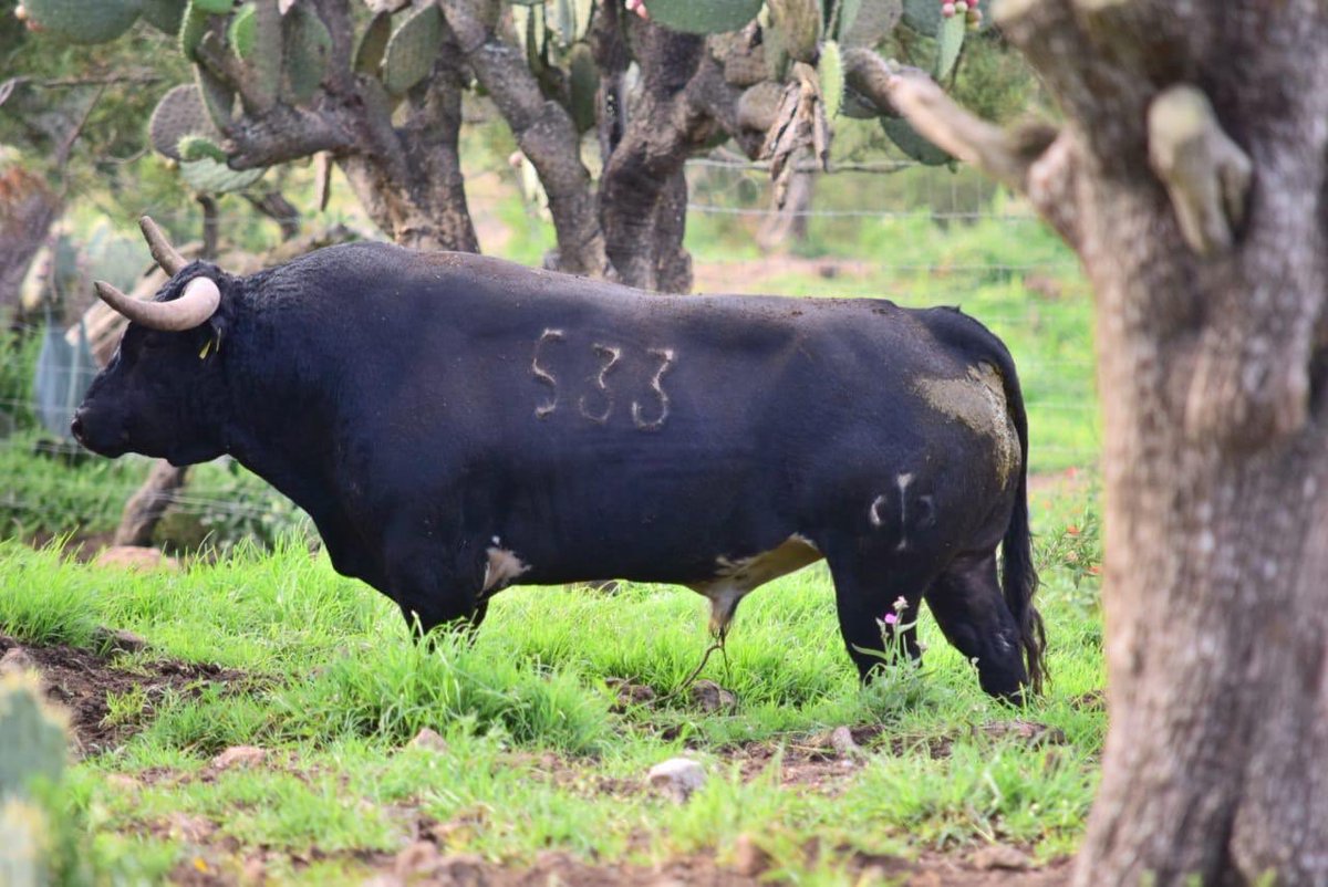 Julio Uribe Curn tweet media