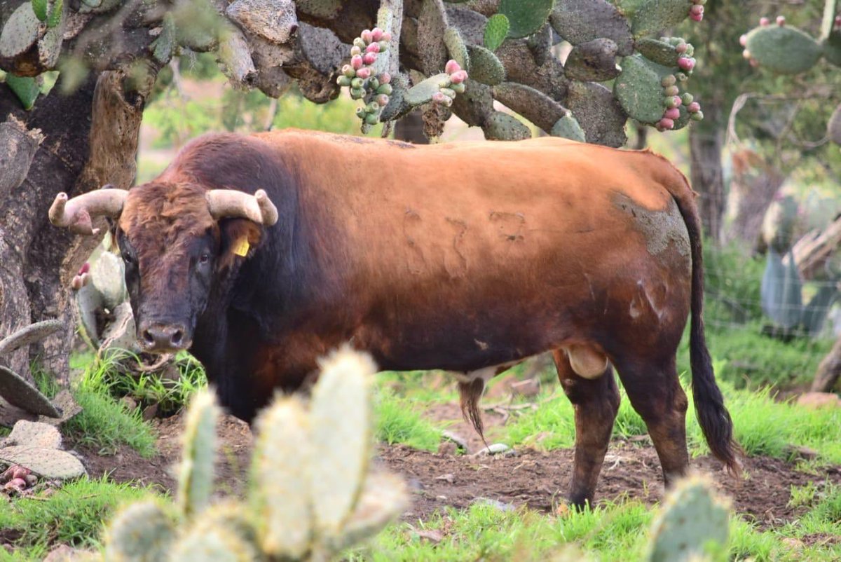 Julio Uribe Curn tweet media