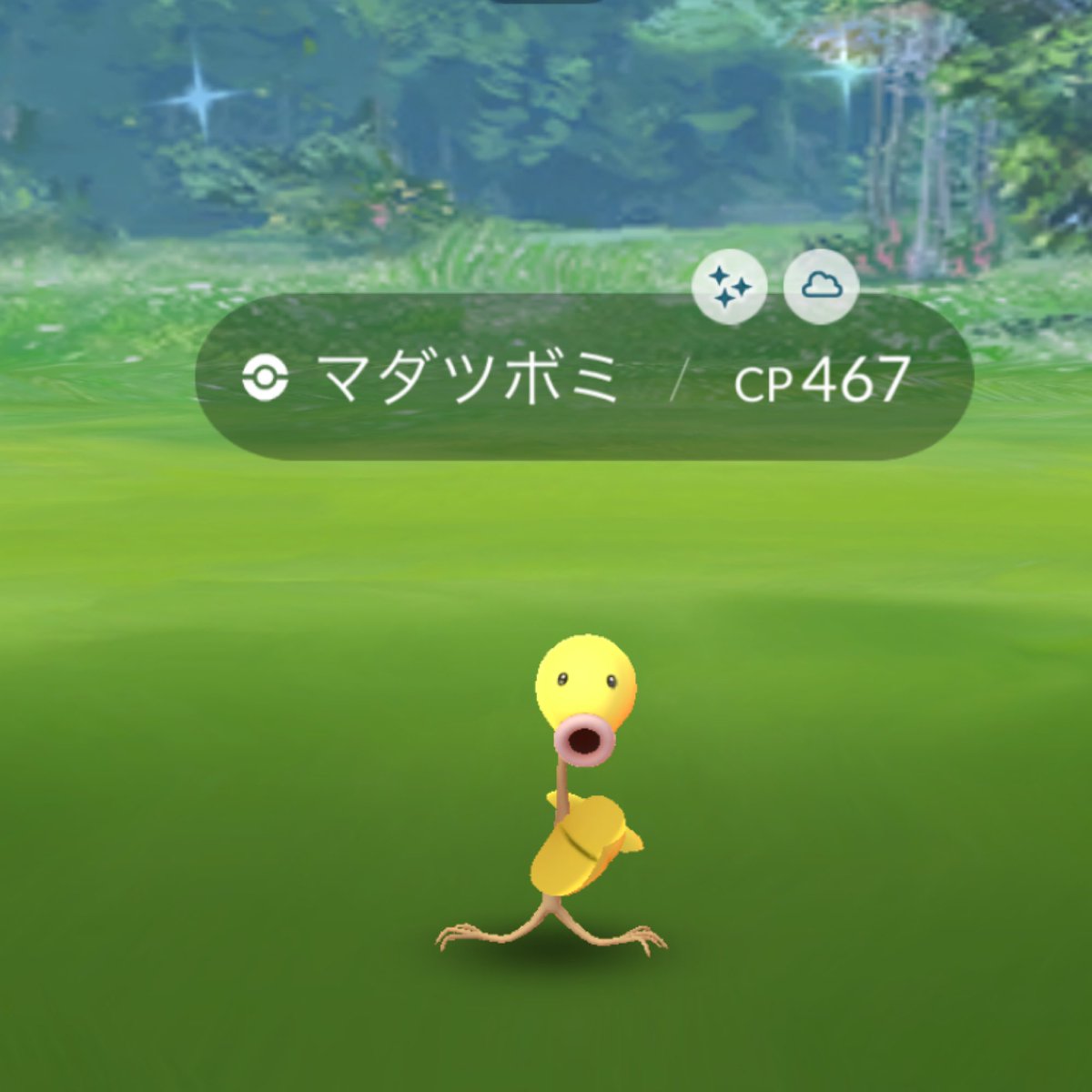 マダツボミ色違い