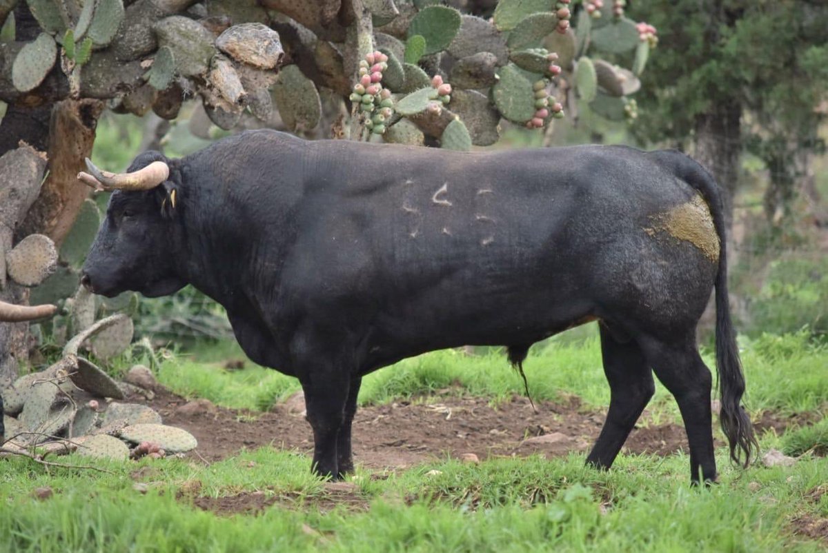 Julio Uribe Curn tweet media