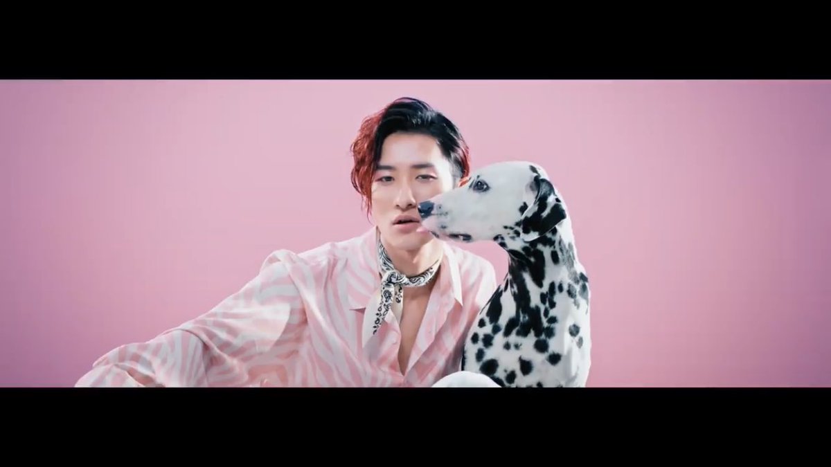 Man KISSIN' MY LIPS オフショット 犬 公式写真 9枚 SnowMan 岩本照 kissin my lips キッシン 犬 オフショット 公式