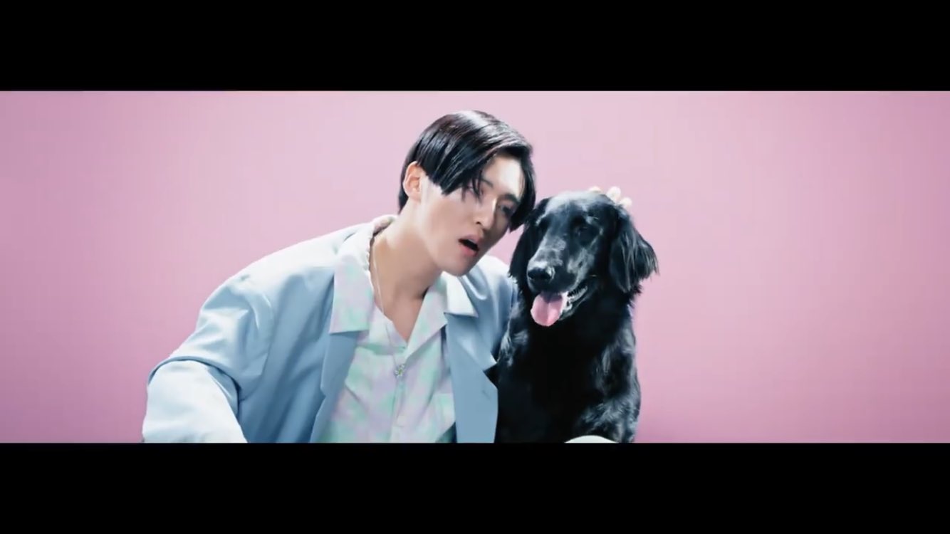 SnowMan 公式写真 KISSIN'MY LIPS 犬｜Yahoo!フリマ（旧PayPay