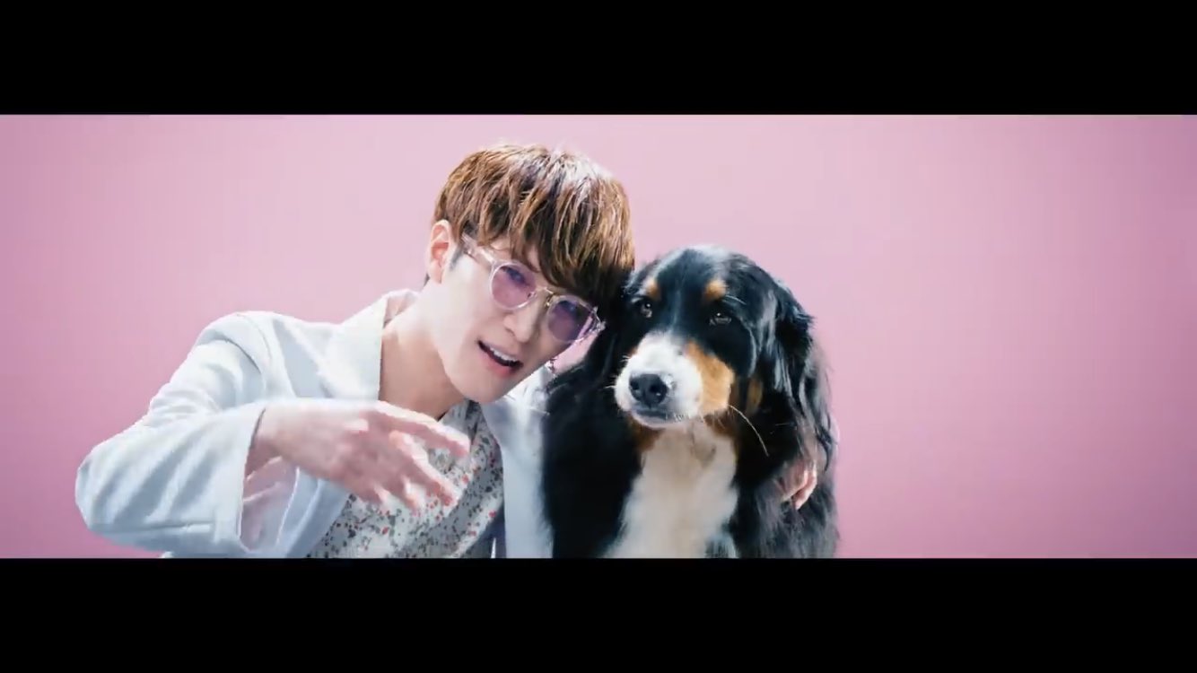 激安単価で Kissin My Man Snow Lips オフショ 犬 アイドル Growatt Pl