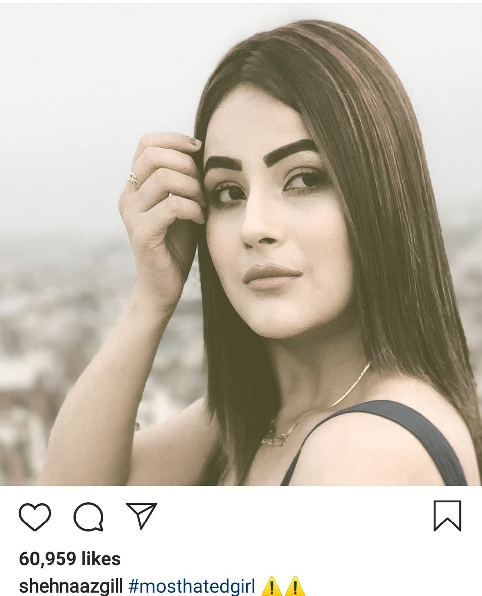 She was targetted for telling her choices of what she disliked but dat was her nature dat she never manipulates things , whatever is in her heart she speaks out.After dat she was hated , she faced so many hate comments but our queen  @ishehnaaz_gill is strong.Journey Part4