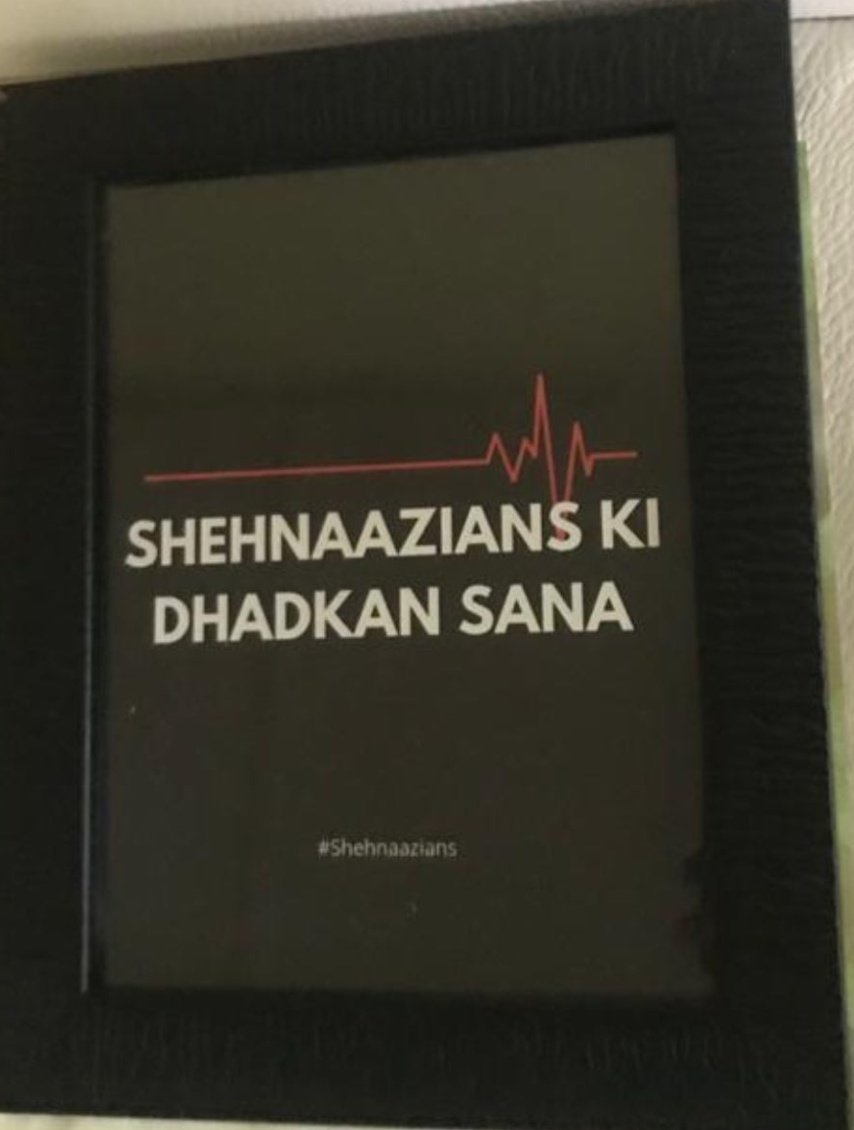 As a shehnaazian I always wish her to be more successful in her life . And as I have always said I always want to see Sana on big screen and do Bollywood movies.And remember one thing:Shehnaazians ki dhadhkan hai Shehnaaz aurShehnaaz ki jaan hai ShehnaazianJourney part14