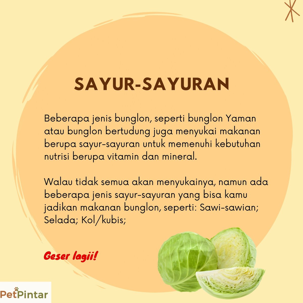PetPintar's tweet photo. Kamu memelihara bunglon, tapi bingung cara memenuhi kebutuhan nutrisinya? 

Nah, berikut rekomendasi makanan bunglon terbaik, mulai dari hewani hingga nabati.
https://t.co/U3sfeQ8HuE
.
.
.
.
.
#reptile #reptiles #reptileindonesia #bunglon #makananbunglon #chameleon #chameleonfood https://t.co/wOv35tFRXz